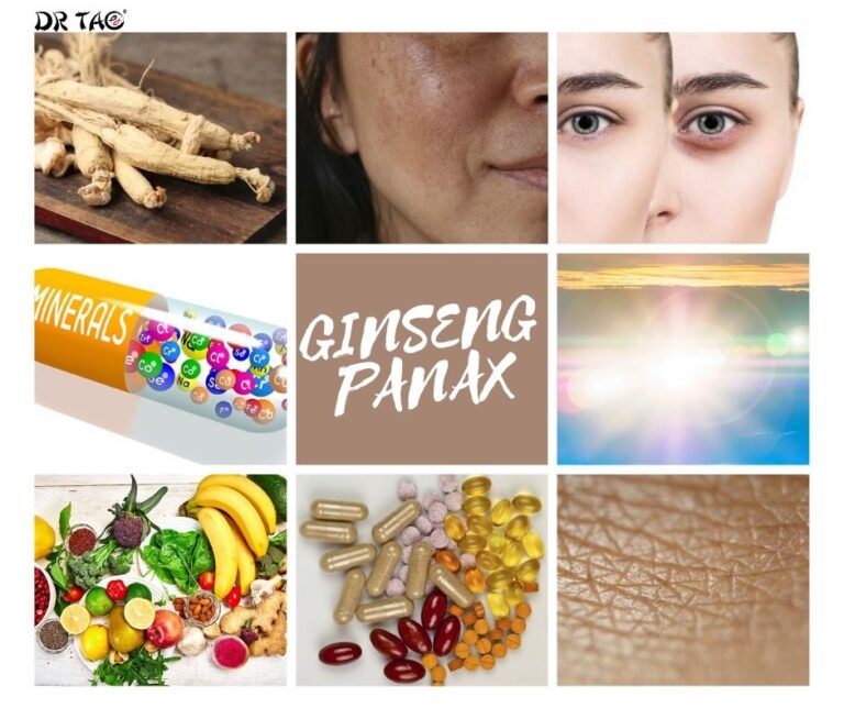 La planta ginseng panax para la salud de nuestra piel Ginseng